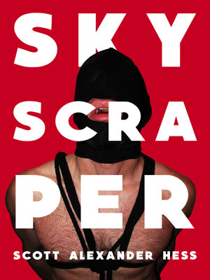 cover image of Skyscraper